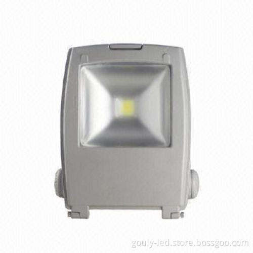 100W LED Floodlight, 85-265V AC/12V DC (Can by Choose) and IP65 Outdoor